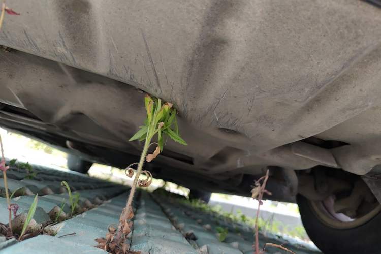 Used BMW 5 Series 2013 525Li Luxury Model Chassis Front