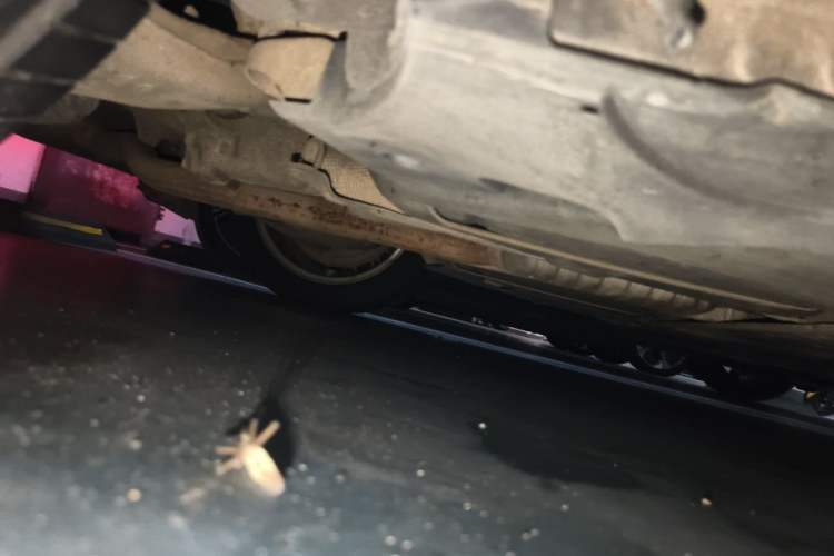 Used BMW 5 Series 2013 530Li Luxury Model Chassis Rear Right