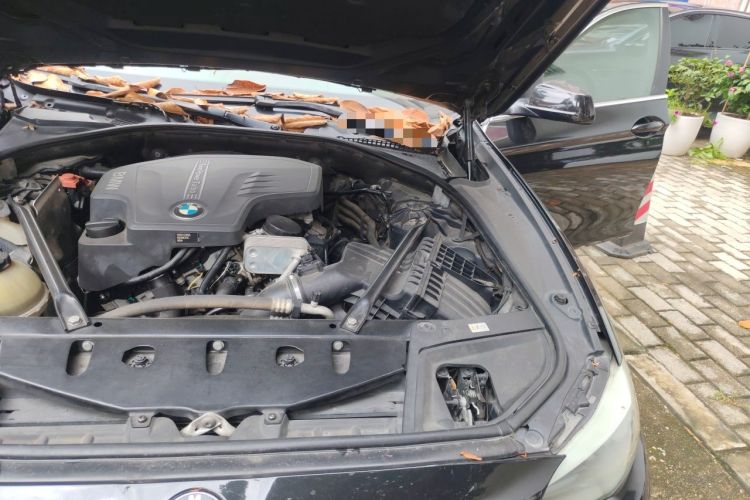 Used BMW 5 Series 2013 525Li Luxury Model Engine Bay Left