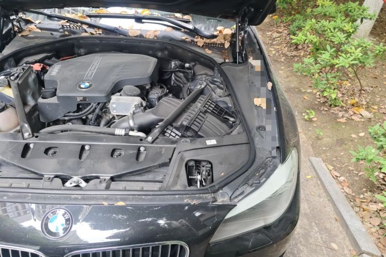 Used BMW 5 Series 2013 525Li Leading Model Engine Bay Left