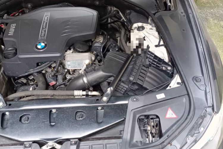 Used BMW 5 Series 2013 525Li Luxury Model Engine Bay Left