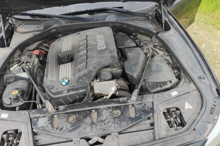 Used BMW 5 Series 2013 530Li Leading Model Engine Bay Left