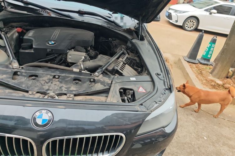 Used BMW 5 Series 2013 525Li Leading Model Engine Bay Left