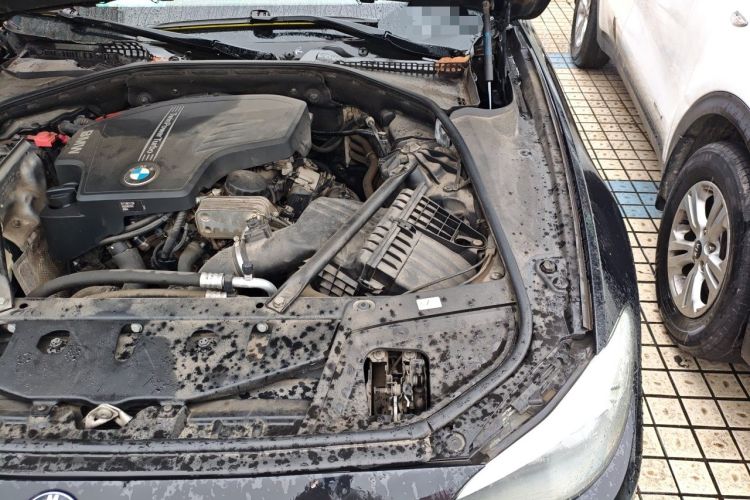 Used BMW 5 Series 2013 525Li Luxury Model Engine Bay Left