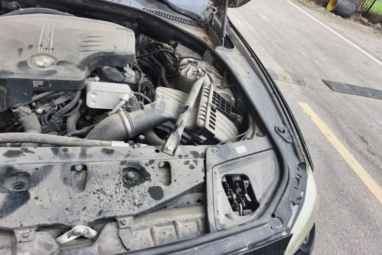 Used BMW 5 Series 2013 520Li Elegant Edition Engine Bay Left