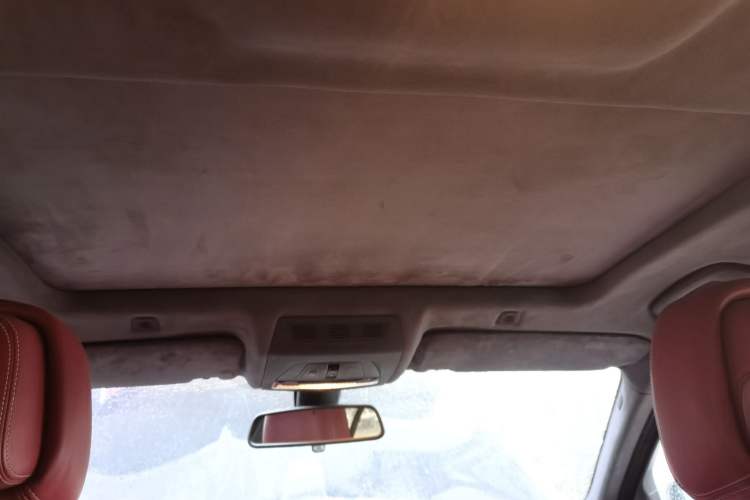 Used BMW 5 Series 2013 525Li Luxury Model Headliner