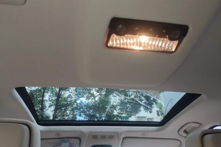 Used BMW 5 Series 2013 525Li Leading Model Headliner
