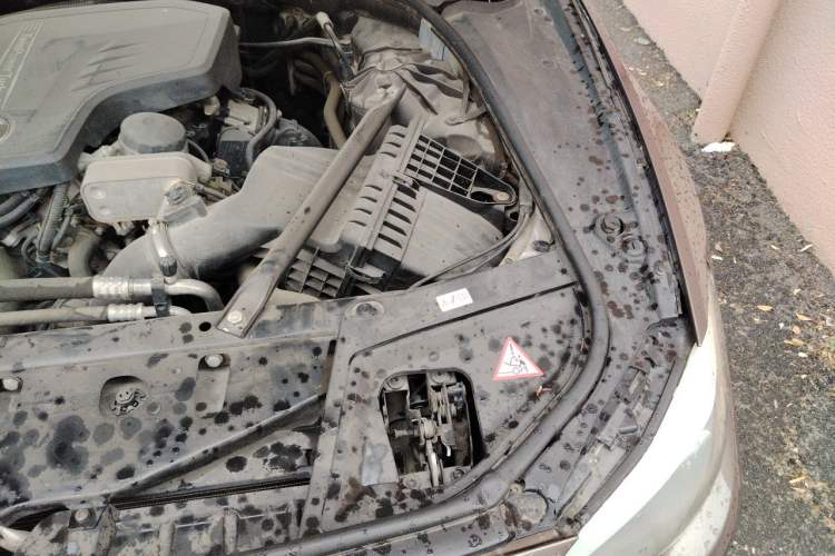 Used BMW 5 Series 2013 525Li Luxury Model Engine Bay Left