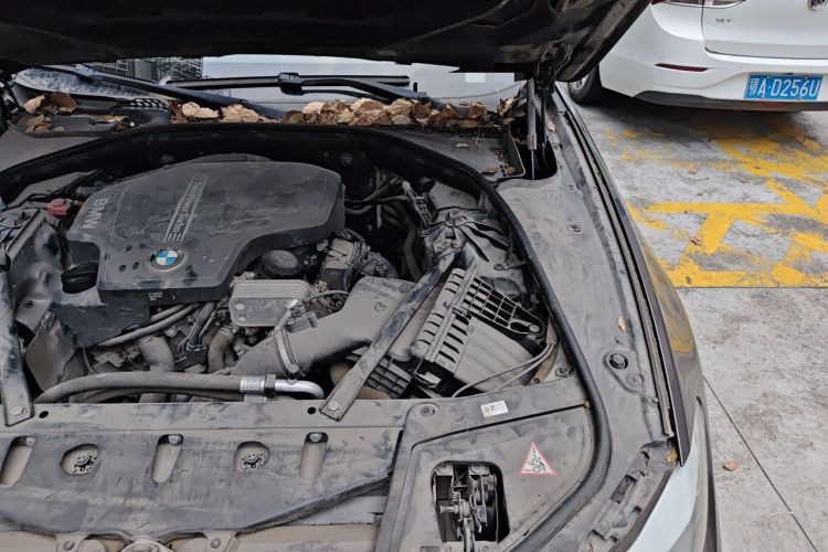 Used BMW 5 Series 2013 525Li Leading Model Engine Bay Left