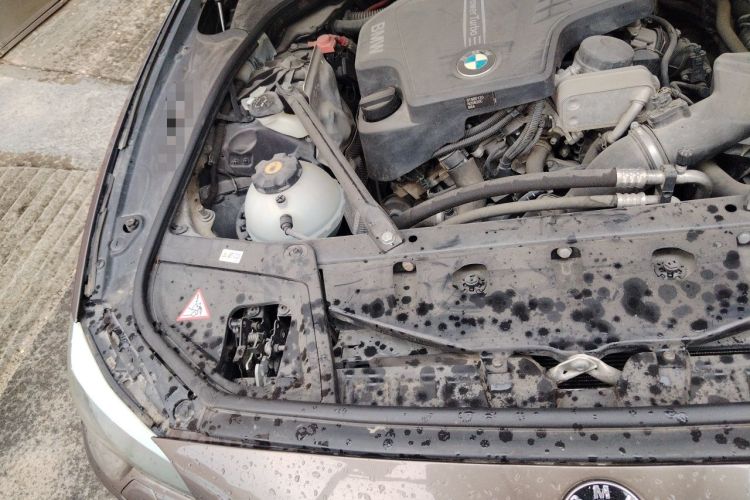 Used BMW 5 Series 2013 525Li Luxury Model Engine Bay Right