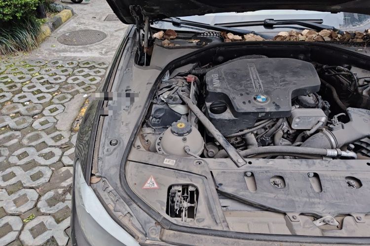 Used BMW 5 Series 2013 525Li Leading Model Engine Bay Right