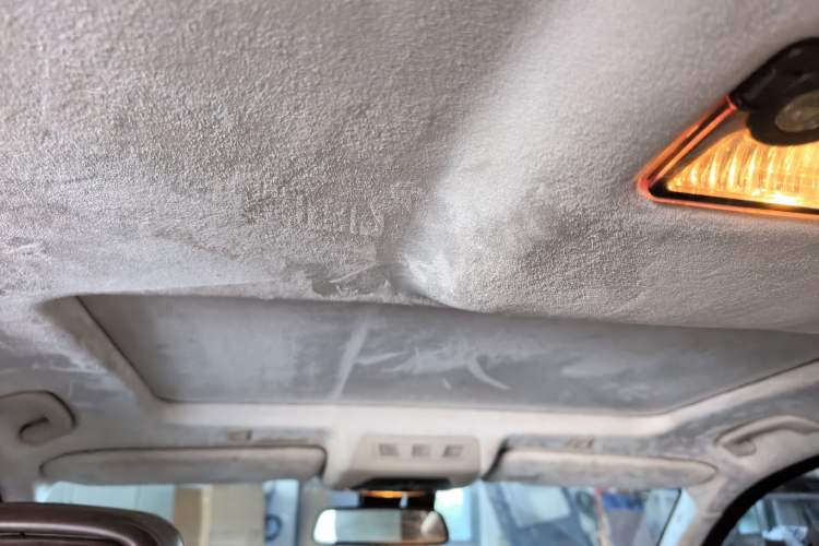 Used BMW 5 Series 2013 530Li Leading Model Headliner