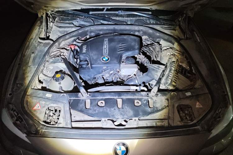 Used BMW 5 Series 2013 525Li Luxury Model Engine Bay