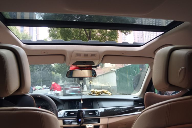 Used BMW 5 Series 2013 530Li Leading Model Headliner