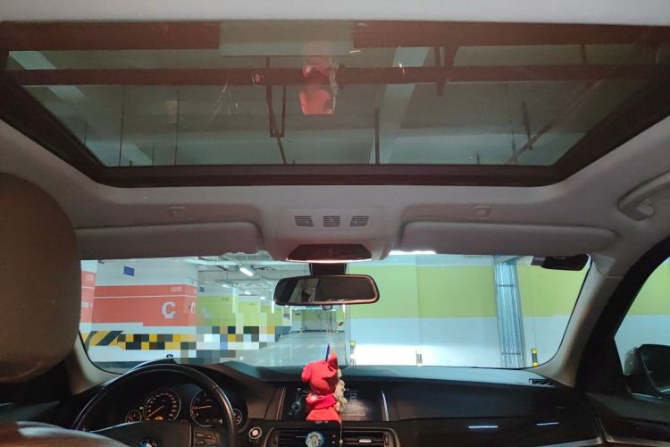 Used BMW 5 Series 2013 530Li Leading Model Headliner