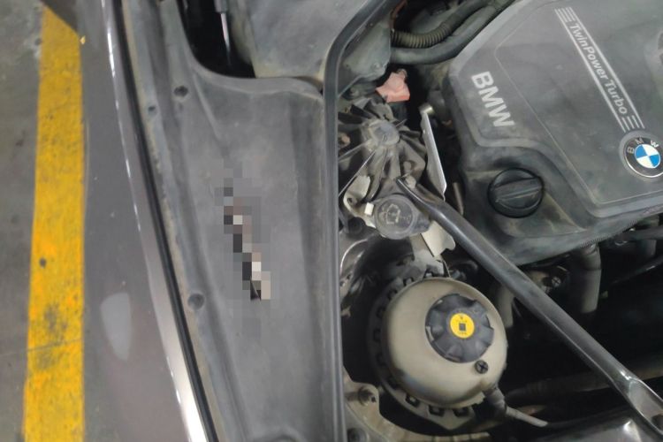 Used BMW 5 Series 2013 525Li Luxury Model Engine Bay Right