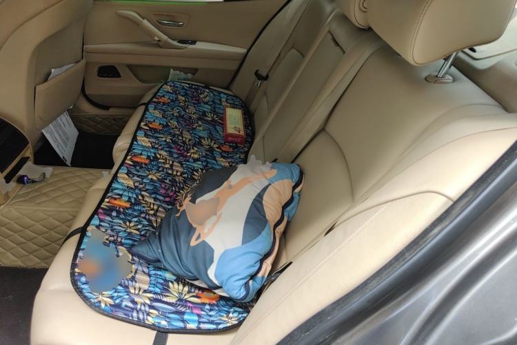 Used BMW 5 Series 2013 525Li Leading Model Left Rear Seat