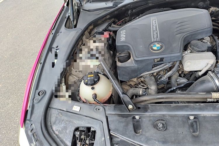 Used BMW 5 Series 2013 525Li Luxury Model Engine Bay Right