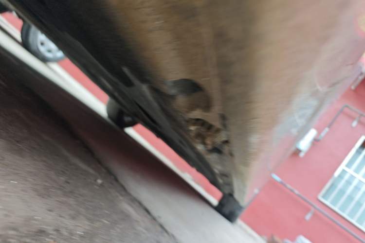 Used BMW 5 Series 2013 525Li Leading Model Chassis Front Left