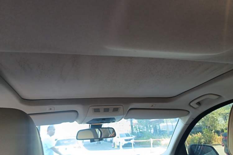 Used BMW 5 Series 2013 530Li Luxury Model Headliner