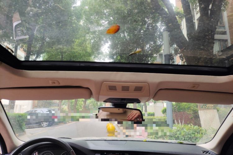 Used BMW 5 Series 2013 525Li Luxury Model Headliner