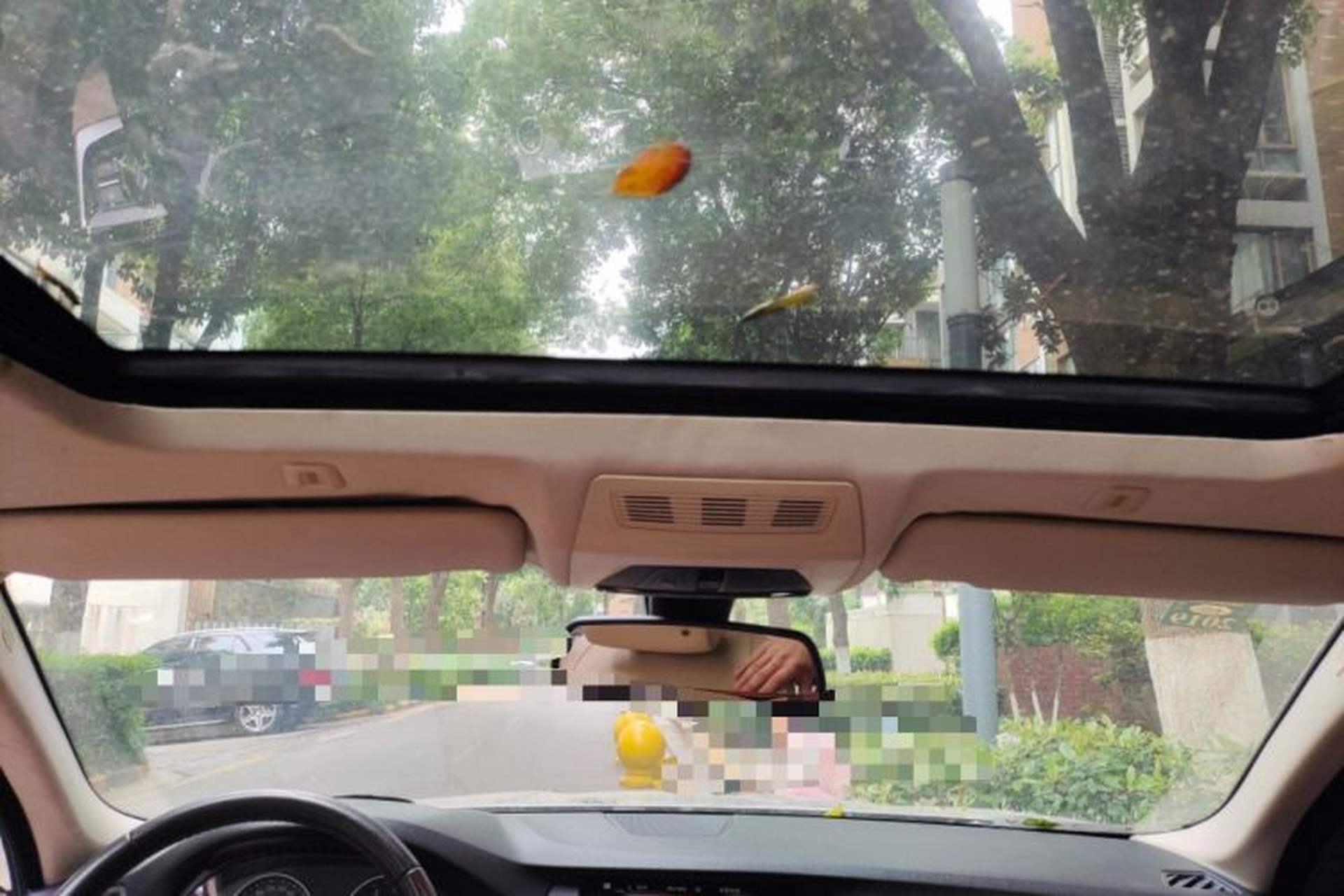 Used BMW 5 Series 2013 525Li Luxury Model Headliner