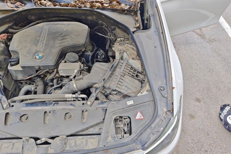 Used BMW 5 Series 2013 525Li Leading Model Engine Bay Left