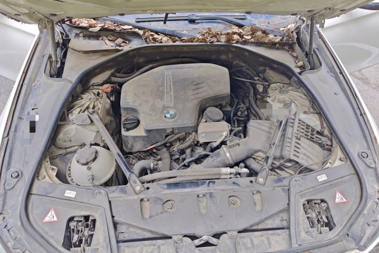 Used BMW 5 Series 2013 525Li Leading Model Engine Bay