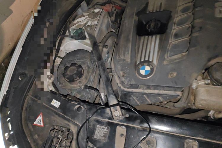Used BMW 5 Series 2013 530Li Leading Model Engine Bay Right