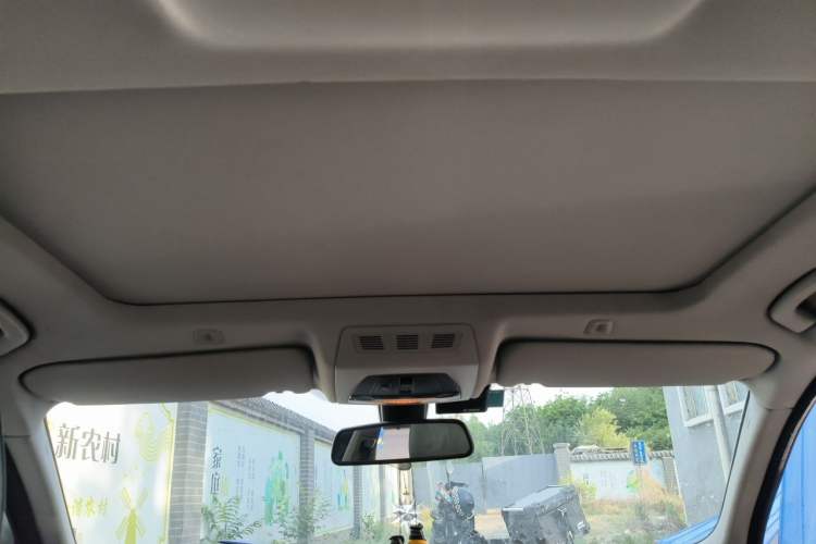 Used BMW 5 Series 2013 530Li Leading Model Headliner