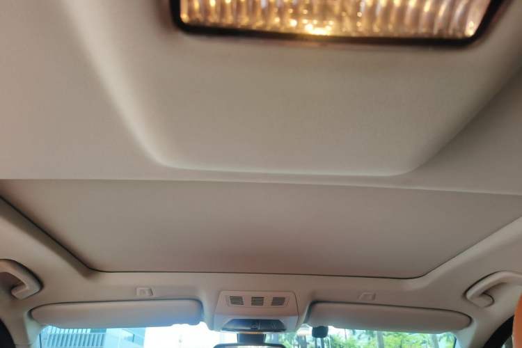 Used BMW 5 Series 2013 525Li Leading Model Headliner