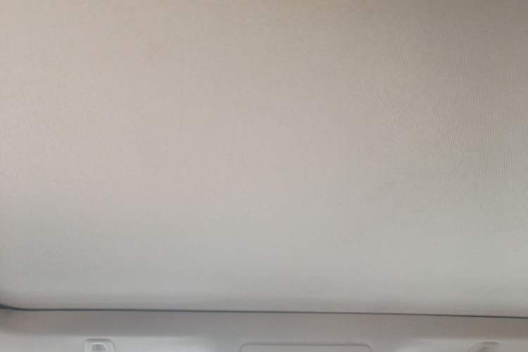 Used BMW 5 Series 2013 525Li Leading Model Headliner