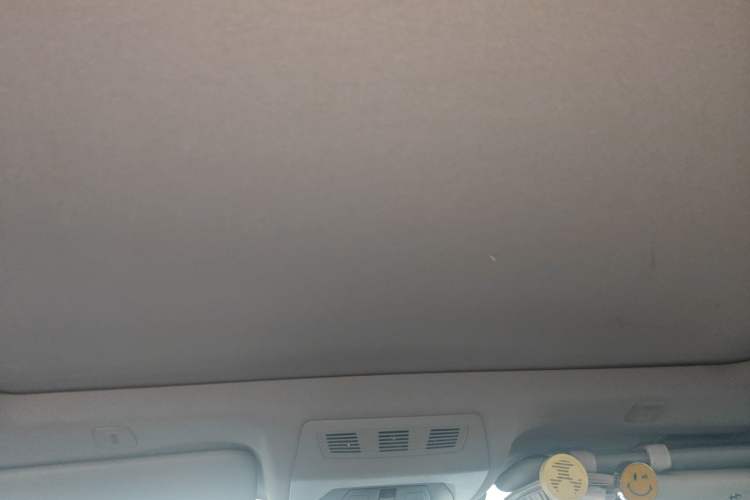 Used BMW 5 Series 2013 525Li Leading Model Headliner