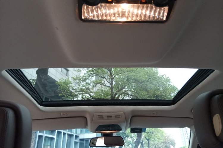 Used BMW 5 Series 2013 530Li Leading Model Headliner