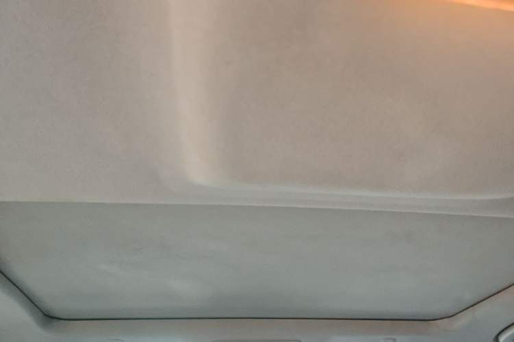 Used BMW 5 Series 2013 525Li Leading Model Headliner