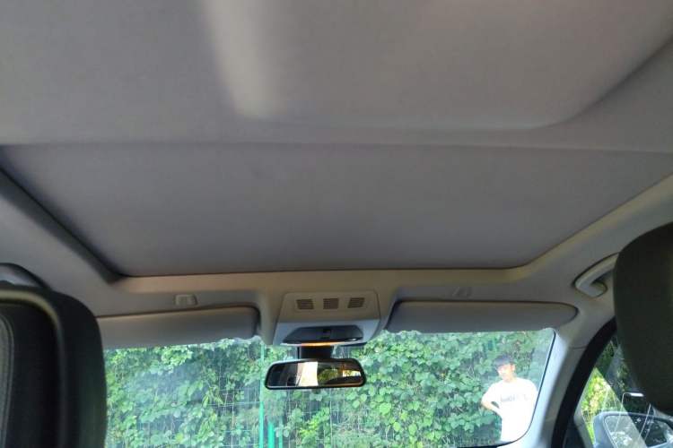 Used BMW 5 Series 2013 525Li Leading Model Headliner