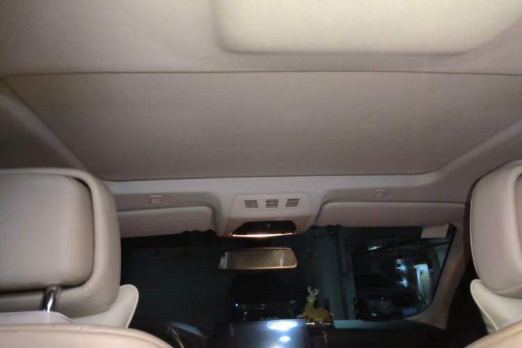 Used BMW 5 Series 2013 525Li Leading Model Headliner