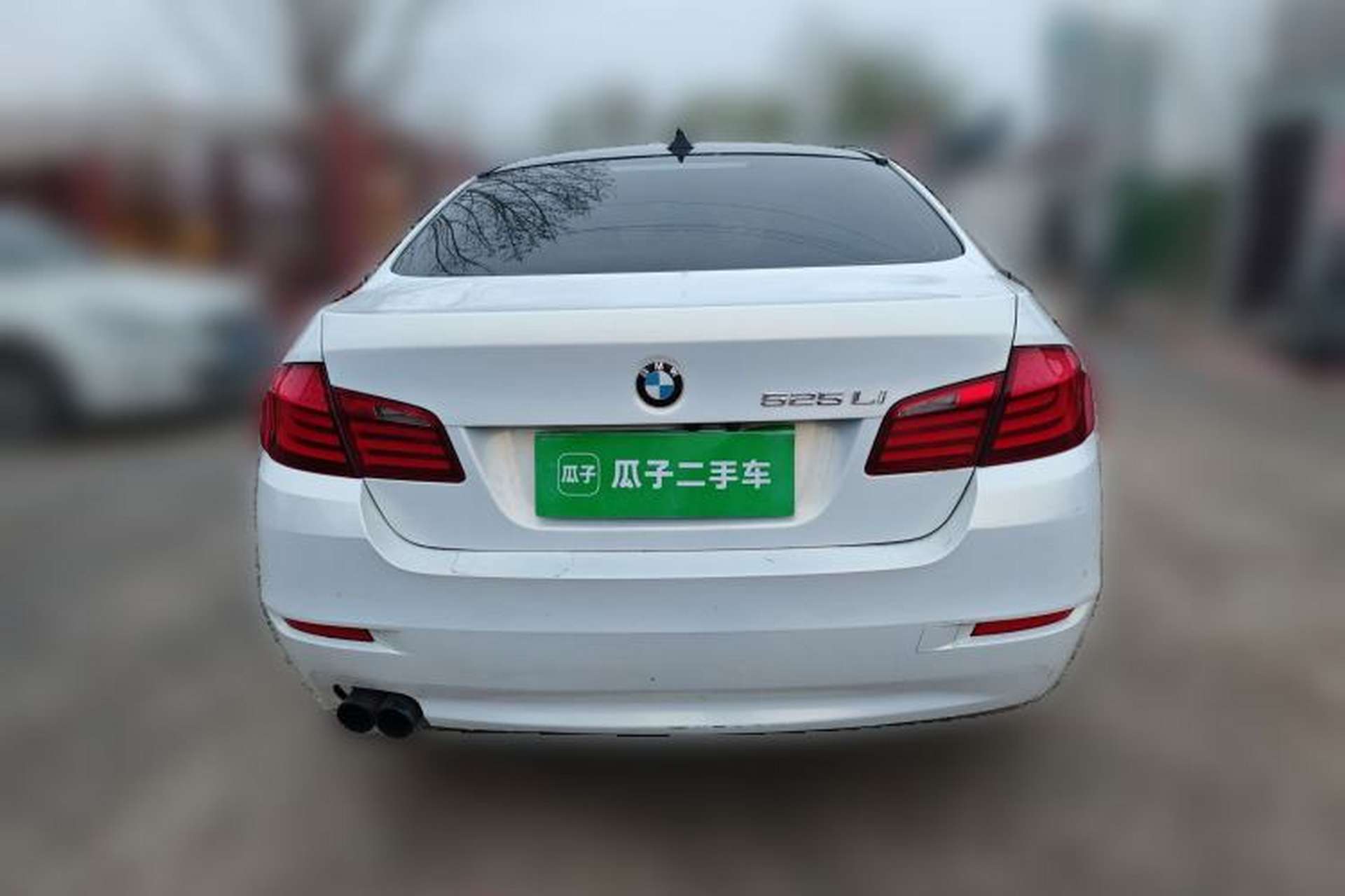 Used BMW 5 Series 2013 520Li Elegant Edition Rear