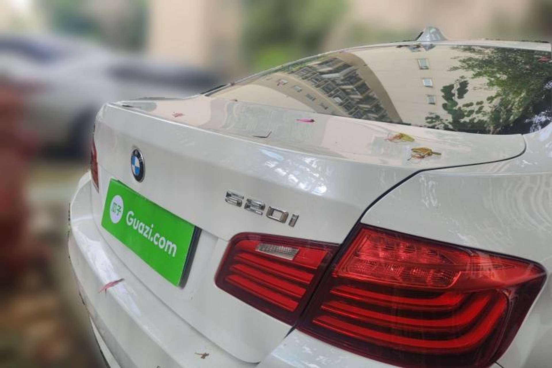 Used BMW 5 Series 2013 520i Elegant Edition Rear