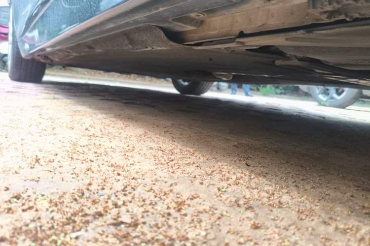 Used BMW 5 Series 2014 528Li Leading Model Chassis Rear Left