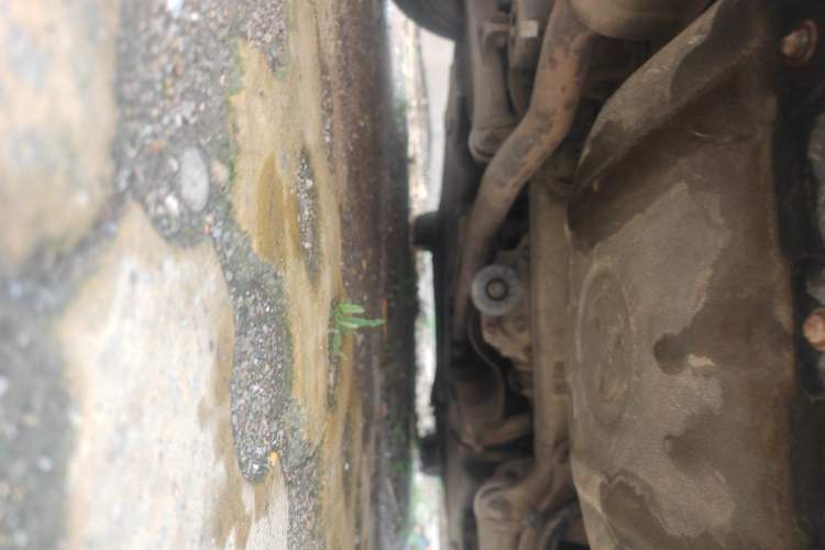 Used BMW 5 Series 2014 520Li Elegant Model Chassis Rear