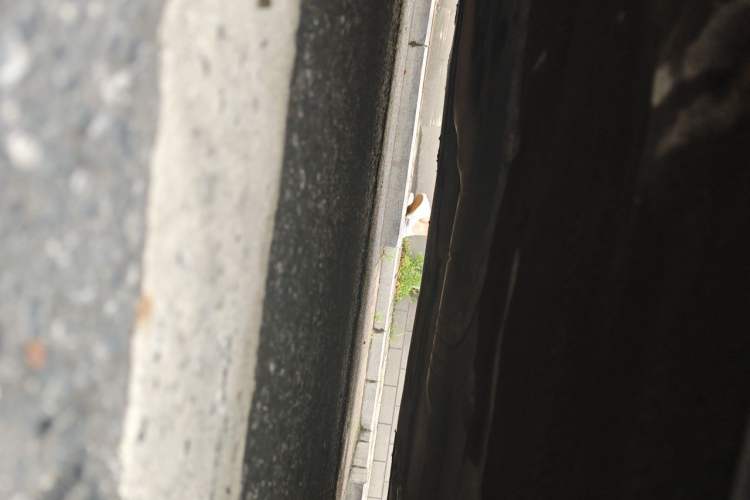 Used BMW 5 Series 2014 525Li Leading Model Chassis Rear