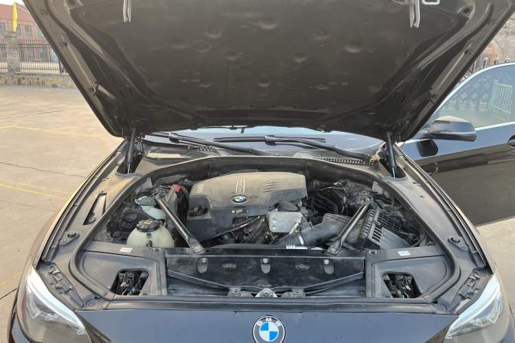 Used BMW 5 Series 2014 520Li Elegant Model Engine Bay