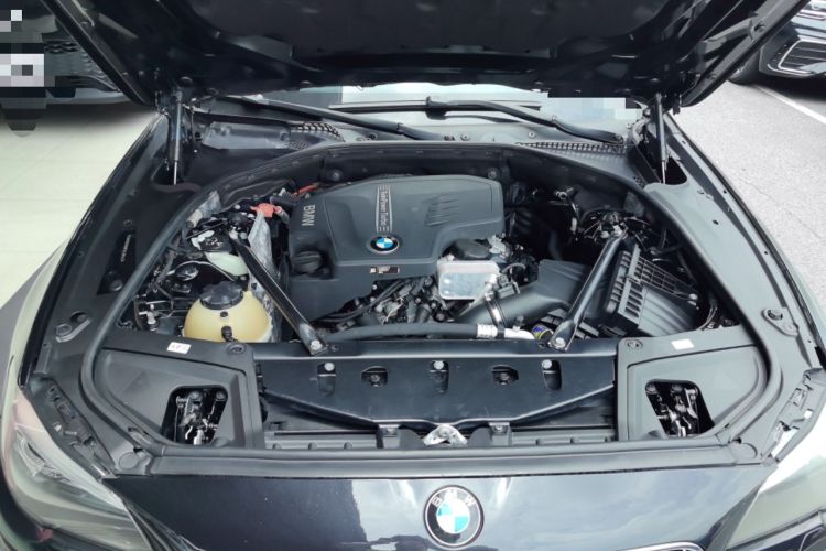 Used BMW 5 Series 2014 525Li Leading Model Engine Bay