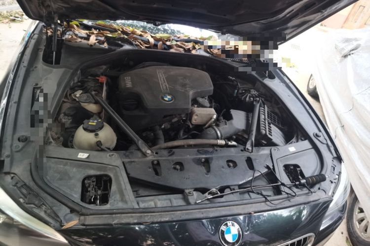 Used BMW 5 Series 2014 520i Elegant Edition Engine Bay