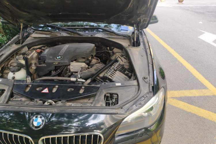 Used BMW 5 Series 2014 520Li Elegant Model Engine Bay Left