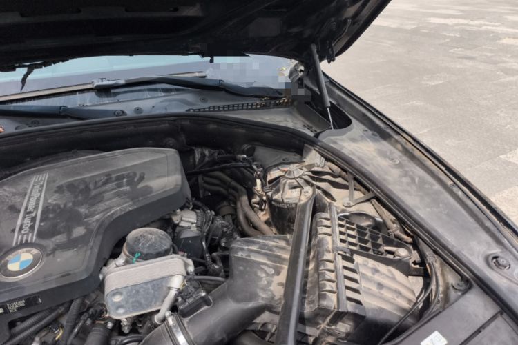 Used BMW 5 Series 2014 520Li Elegant Model Engine Bay Left