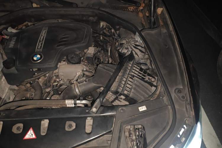 Used BMW 5 Series 2014 525Li Leading Model Engine Bay Left