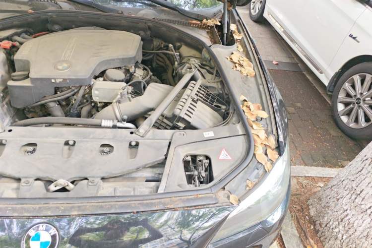 Used BMW 5 Series 2014 525Li Leading Model Engine Bay Left