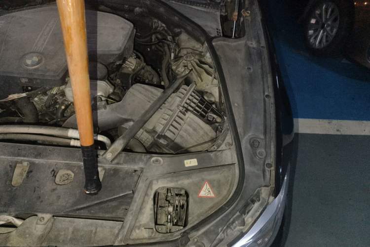 Used BMW 5 Series 2014 525Li Leading Model Engine Bay Left